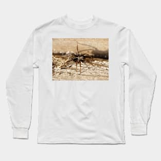 Here's looking at you and you and you (spider) Long Sleeve T-Shirt